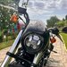 Harley Davidson V-Rod Night Rod